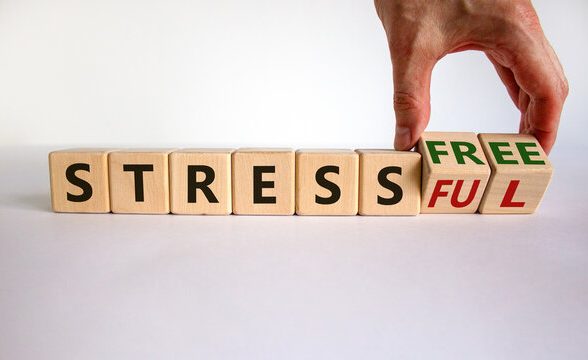 Stress-Free Shifting Hiring Packers and Movers Noida