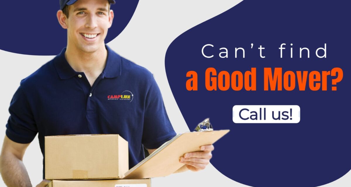 Why Professional Packers and Movers Are Better Than DIY Shifting