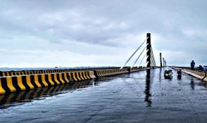 Ara-Packers-Movers-294x175