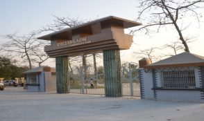 Araria-Packers-Movers-294x175