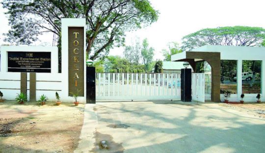 Packers And Movers in Jorhat