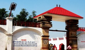 Packers-and-Movers-Gopalganj-min-294x175